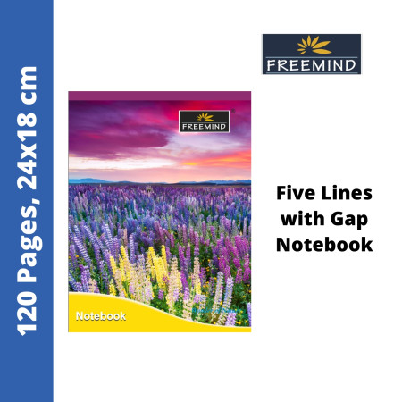 Freemind Notebook - Five Lines with Gap, 120 Pages, 24x18cm (700296J)